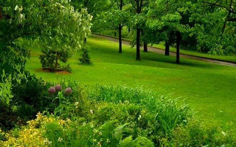 HD-wallpaper-beautiful-green-park-in-summer-grass-lush-summer-rich-park-trees.jpg
